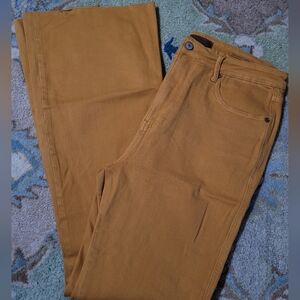 Nwot judy blue flares